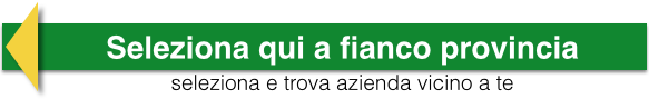 Ditte